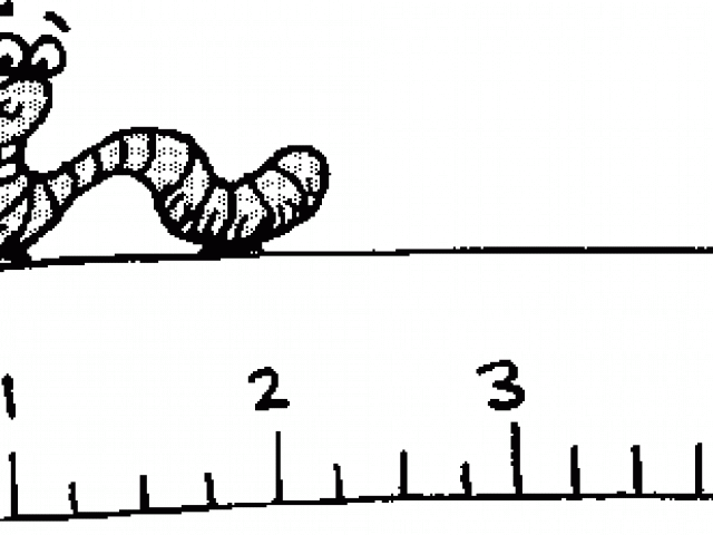Inchworm long free on. Worm clipart wriggly