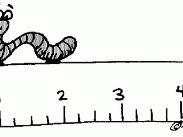 inchworm clipart length
