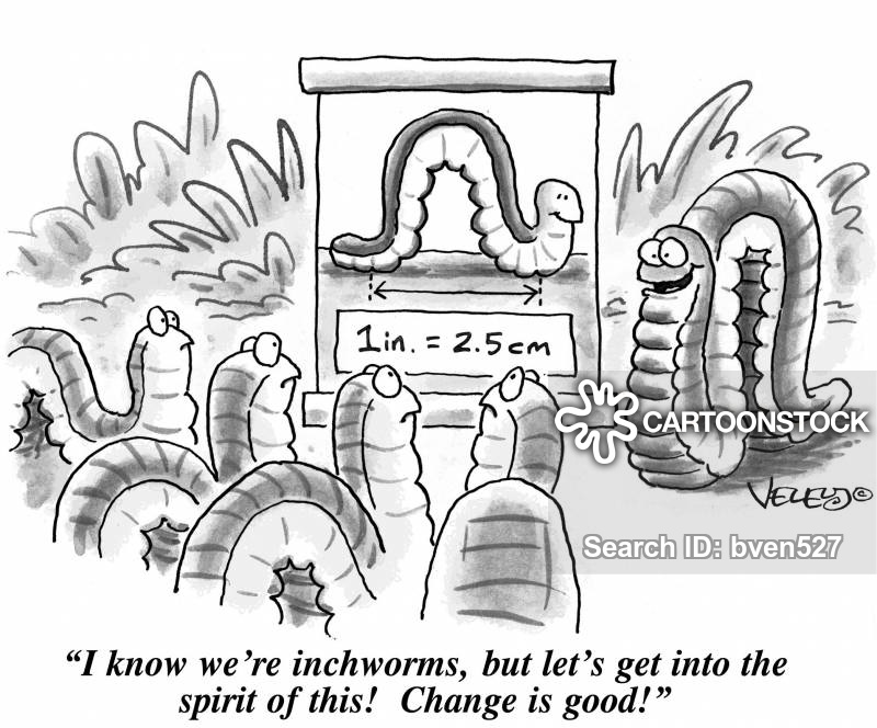 inchworm clipart metric measurement