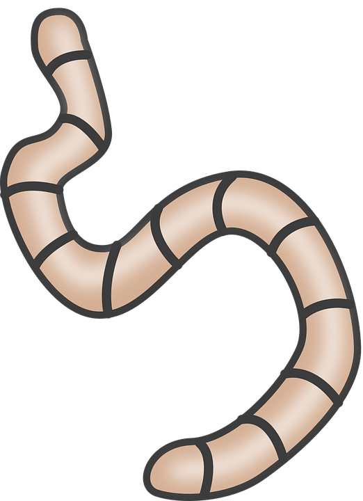 Collection of snake reading. Worm clipart halloween