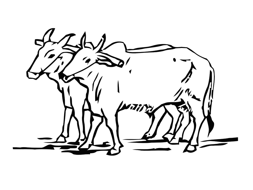 ox clipart outline