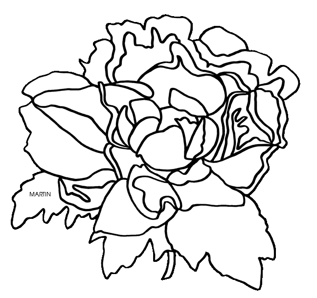 Peony clipart black and white. United states clip art