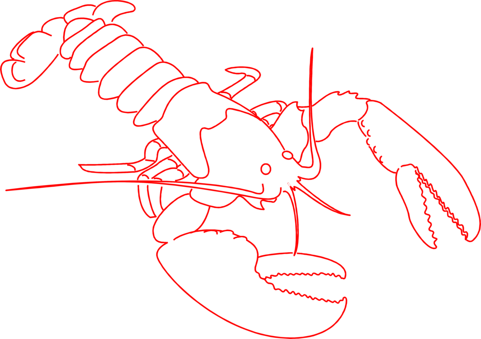 lobster clipart little