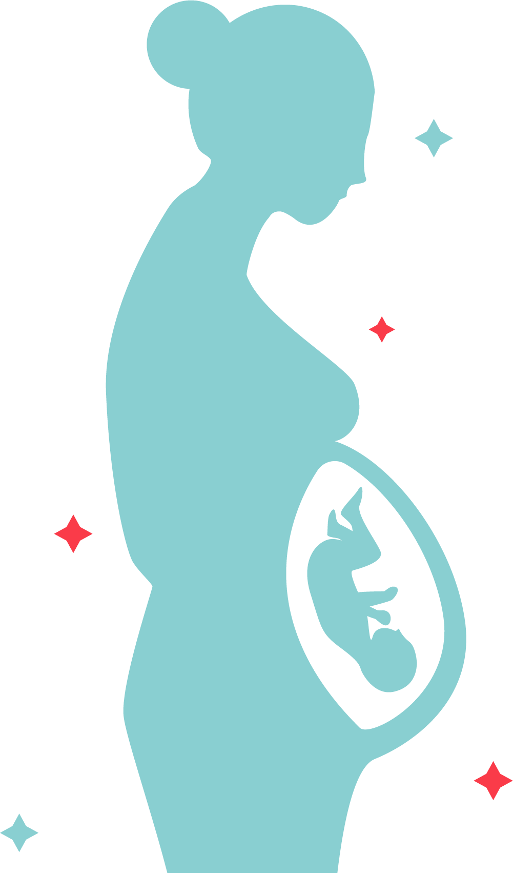 infant clipart baby fetus