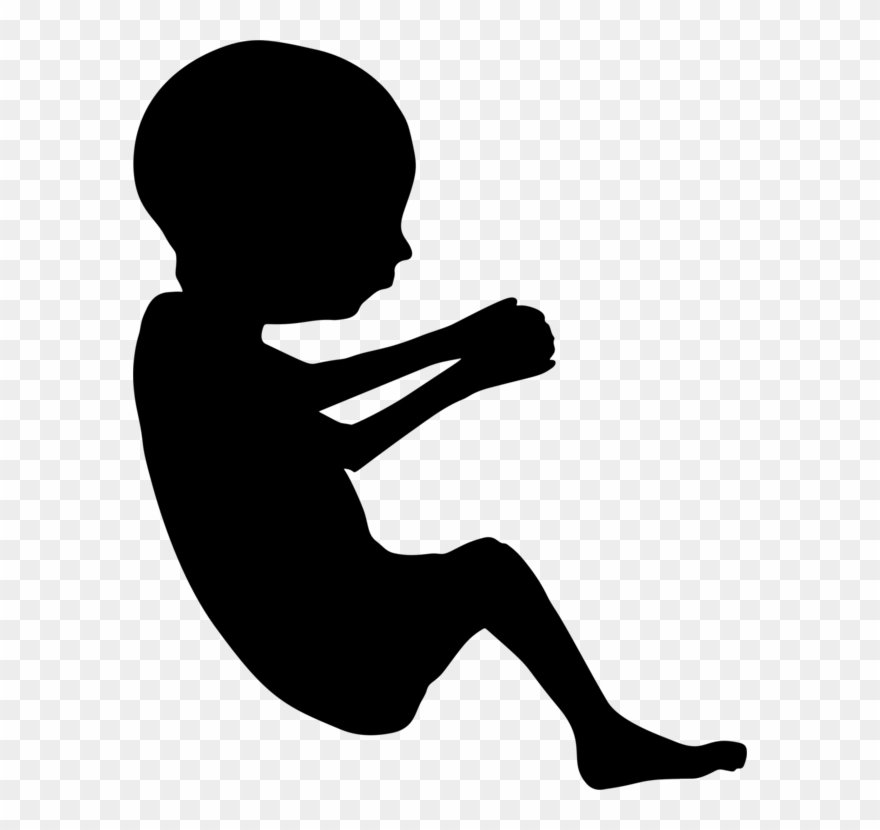 Pregnancy clipart fetus. Infant silhouette uterus 