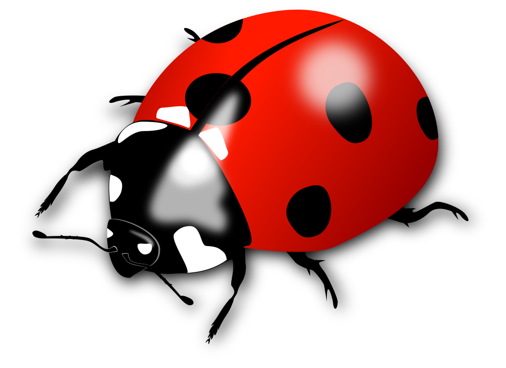 Ladybugs clipart blank. Onlinelabels clip art ladybird