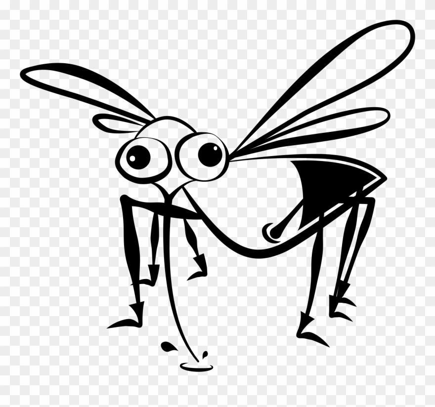 mosquito clipart angry