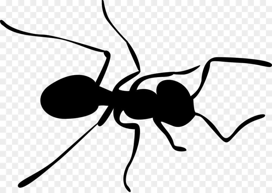 Insect clipart ant. Clip art png download