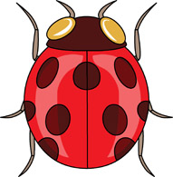 Free clip art pictures. Insects clipart arthropod