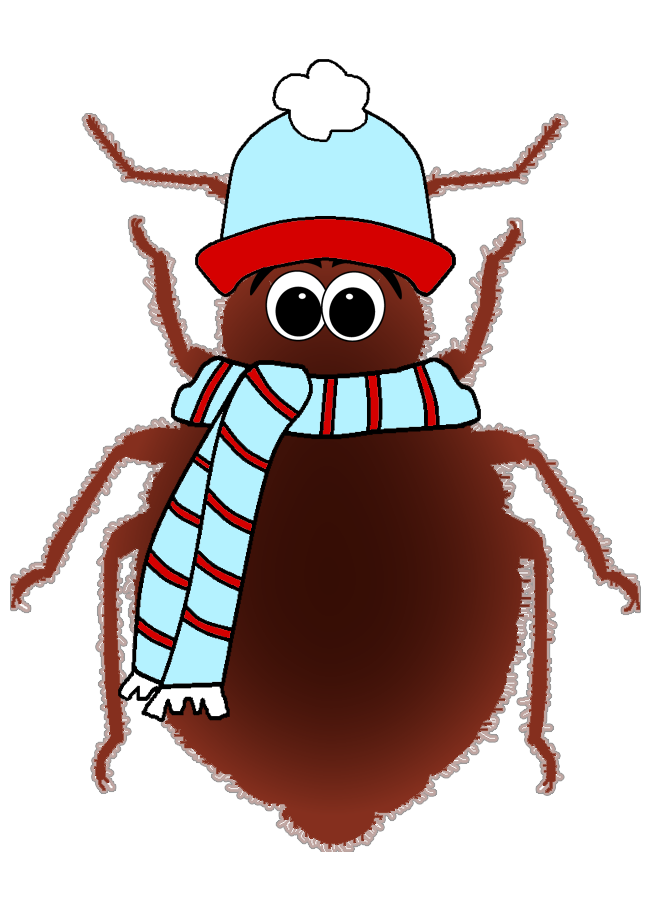 insects clipart bed bug