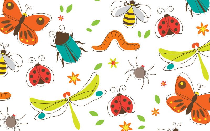 insect clipart beneficial insect