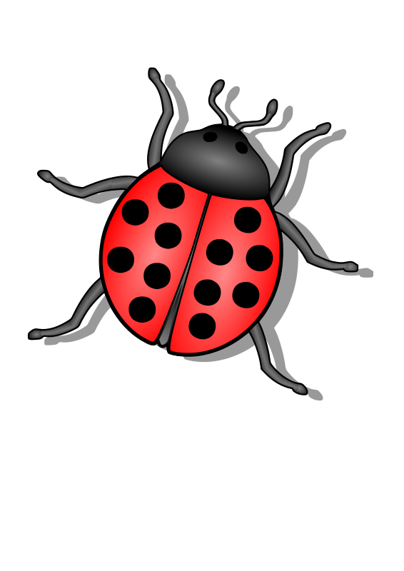 insect clipart bettle