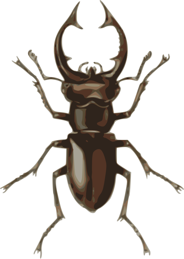 insect clipart bettle