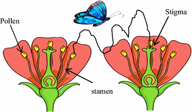 Pollination x free clip. Insects clipart biotic