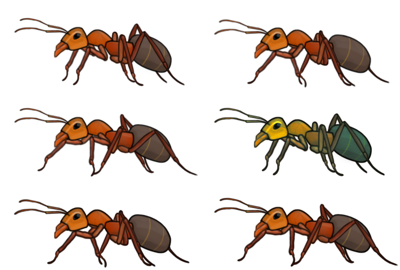 insect clipart carpenter ant