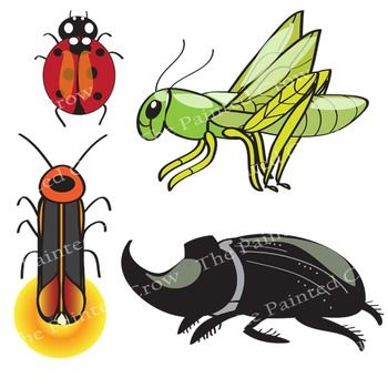 insects clipart color