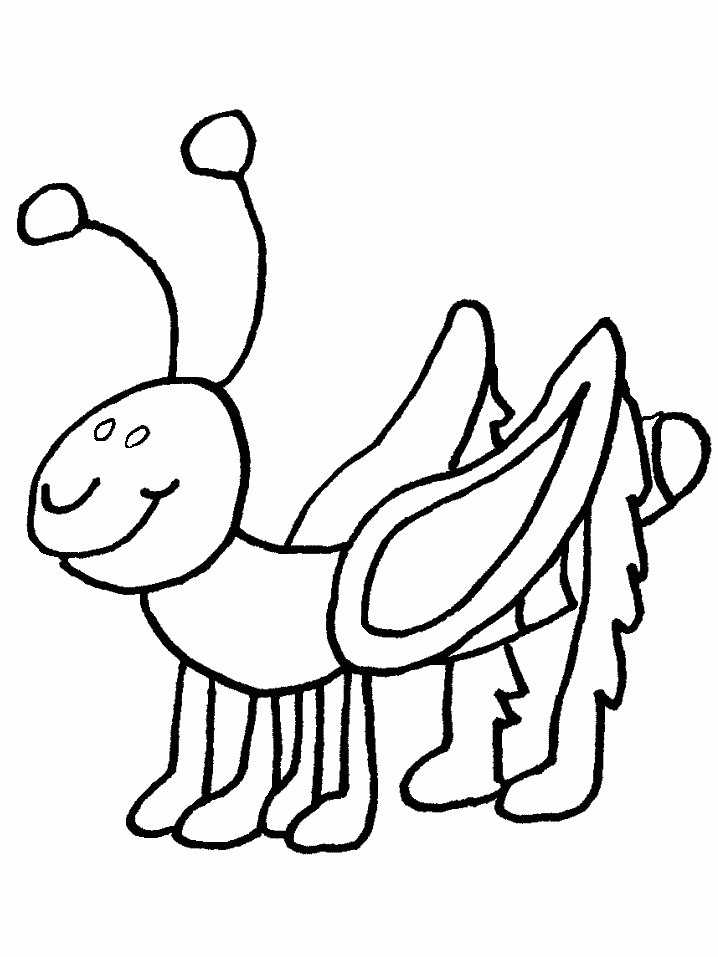 insect clipart colouring