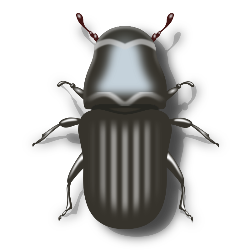 Insect clipart darkling beetle. Pine medium image png