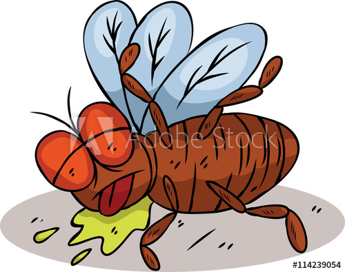 insect clipart dead insect