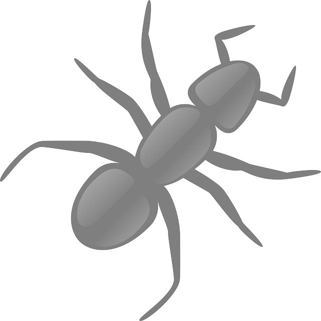 Insect clipart dead insect. Exterminator service homeowners who