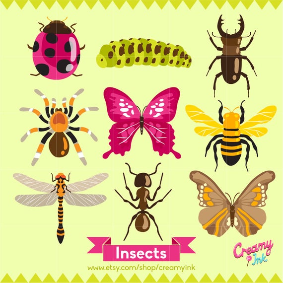 insect clipart design