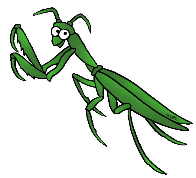 insect clipart different insect