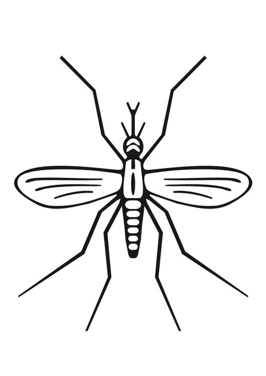 insect clipart easy