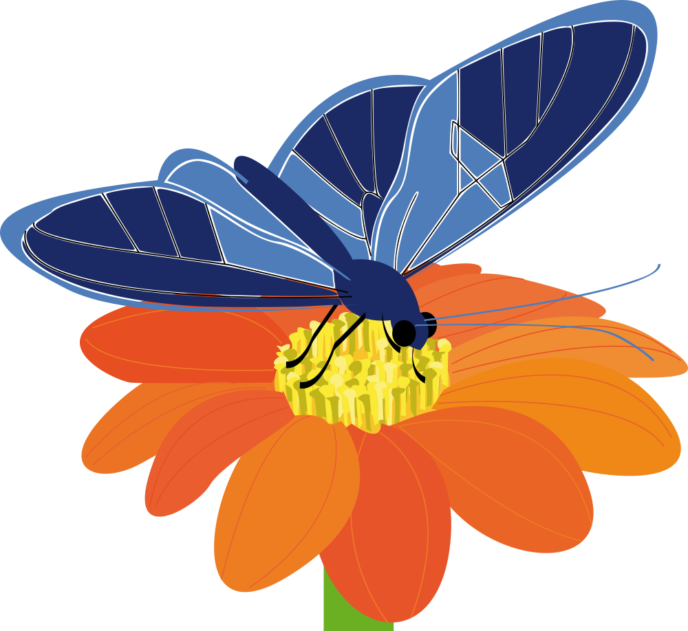 insects clipart flower