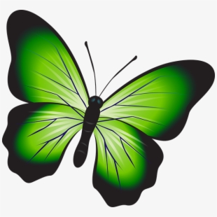 insects clipart gambar
