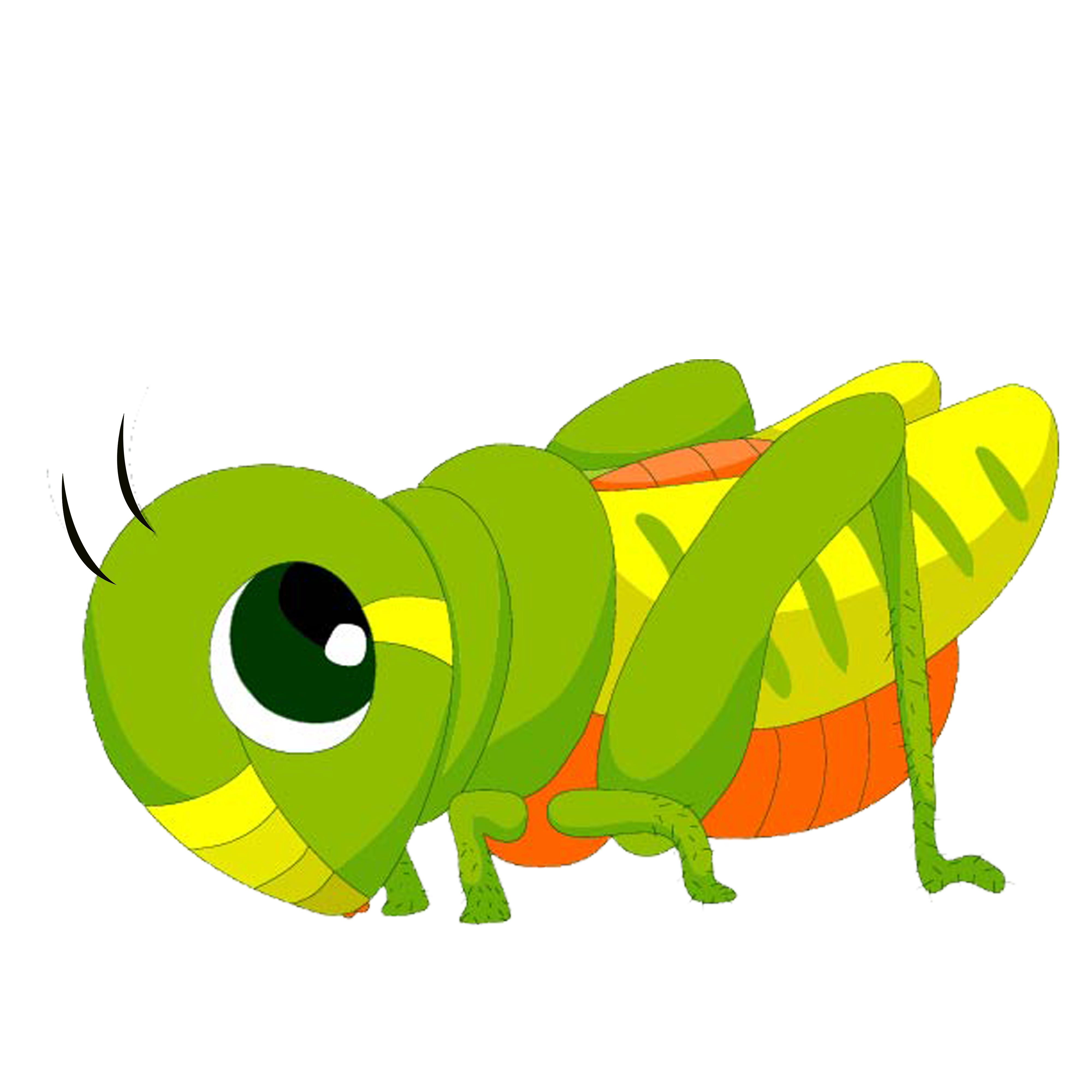 Insects Clipart Grashopper Picture Insects Clipart Grashopper