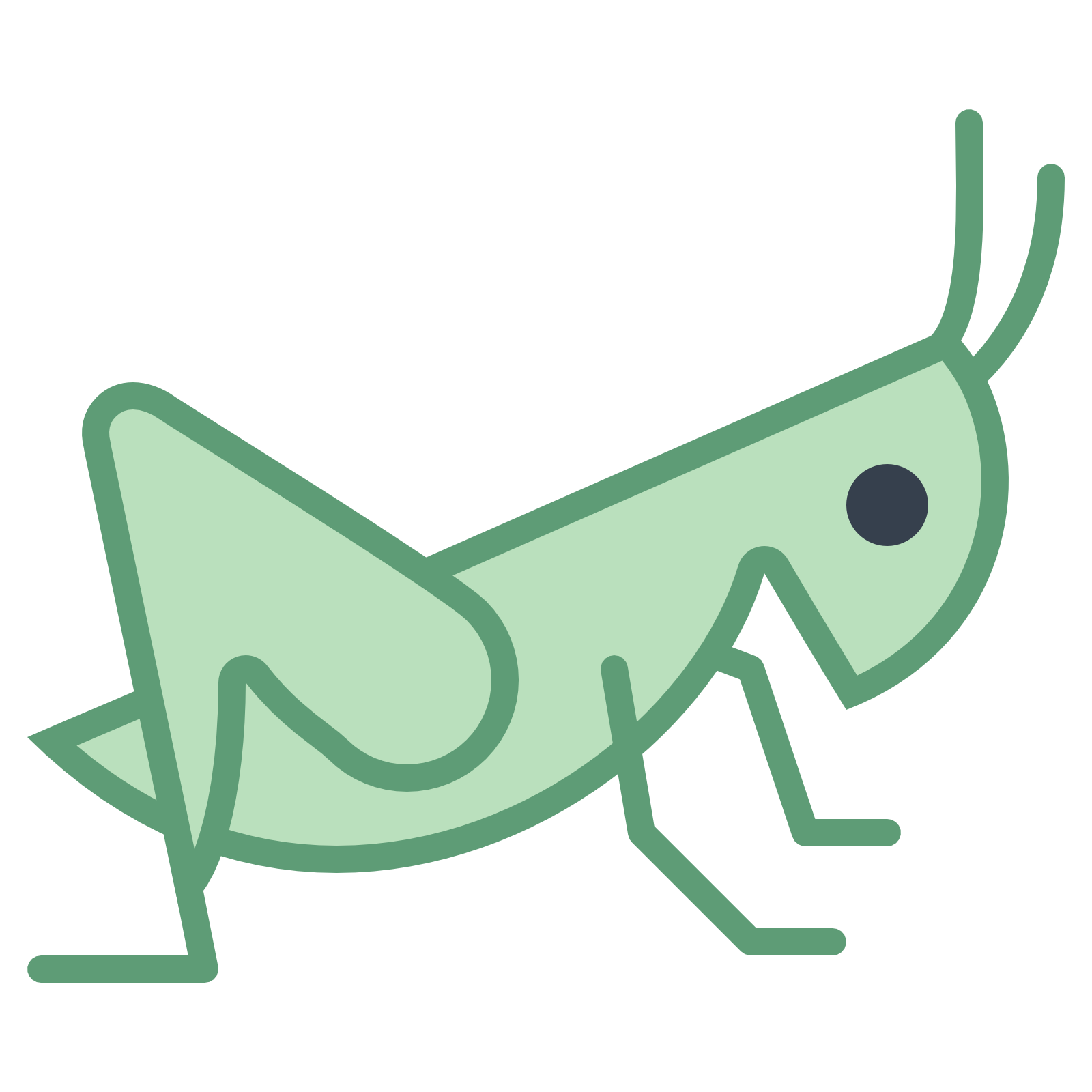 insect clipart grashopper