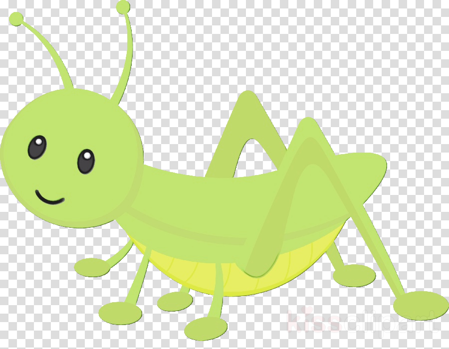 insect clipart green insect