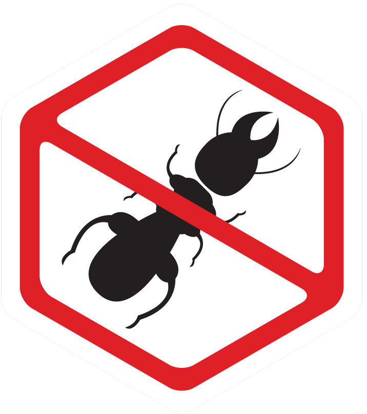 Insect clipart harmful insect. Residential pest control service