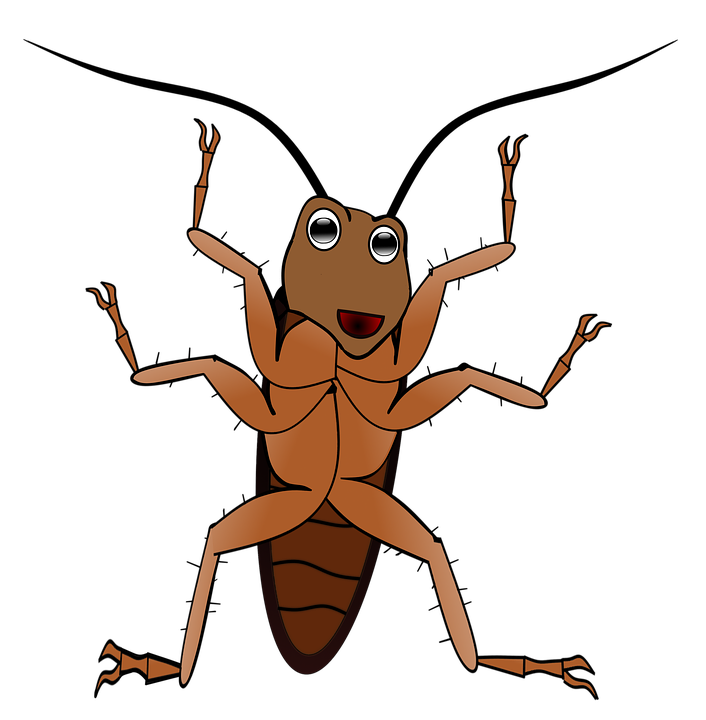 insect clipart harmful insect