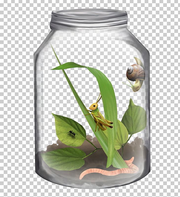 insect clipart jar