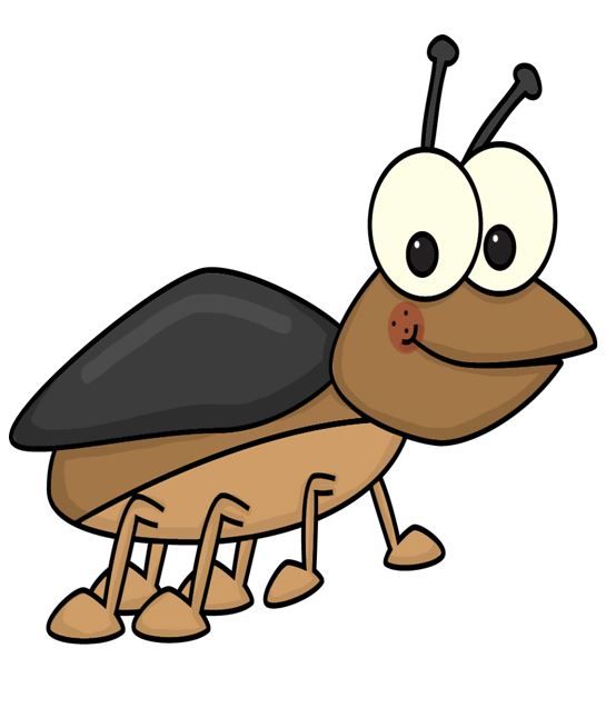 insect clipart june bug