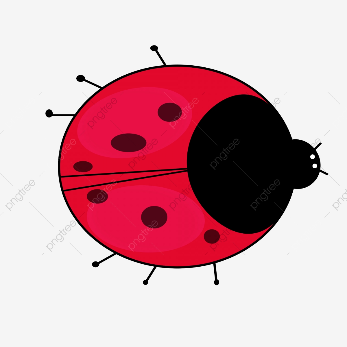 insect clipart ladybug wing
