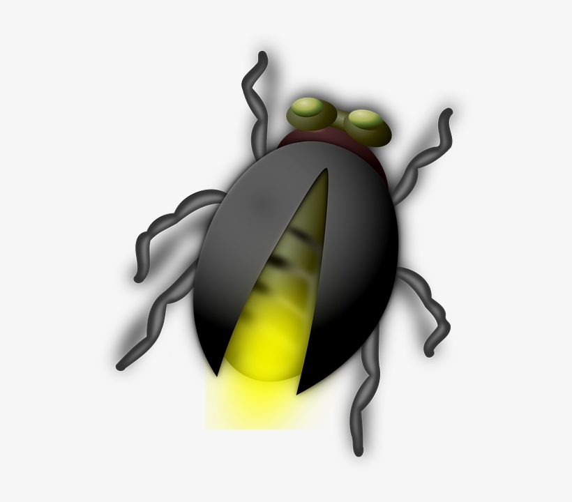 Insect clipart light bug. Glow worm glowworm firefly