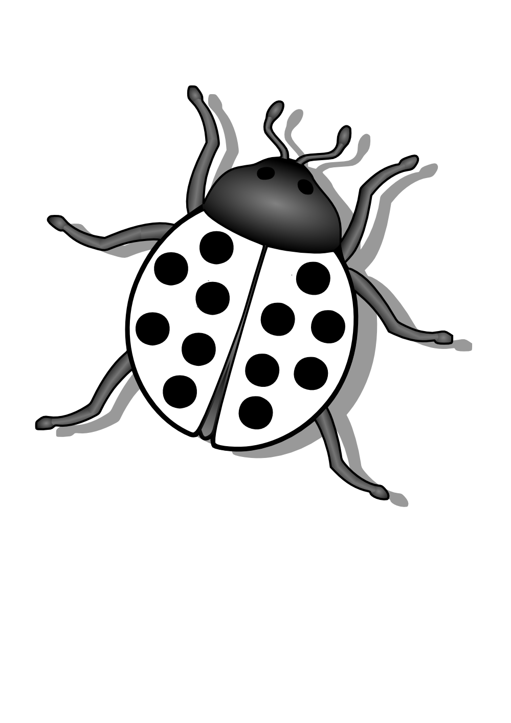 Bugs png black and. Insect clipart line art