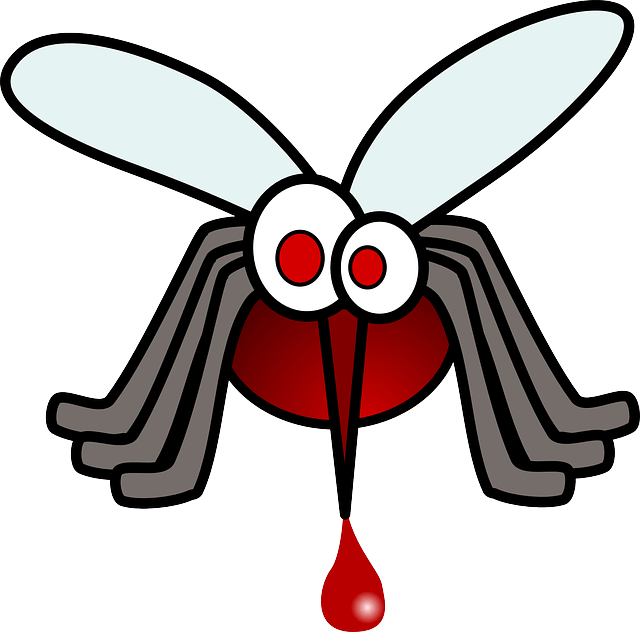 insect clipart mozzie