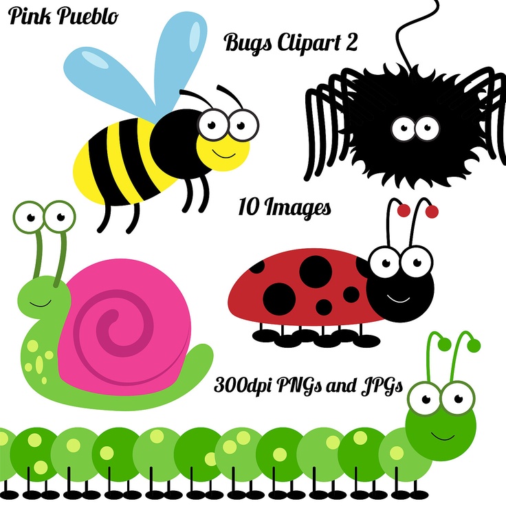 insects clipart name