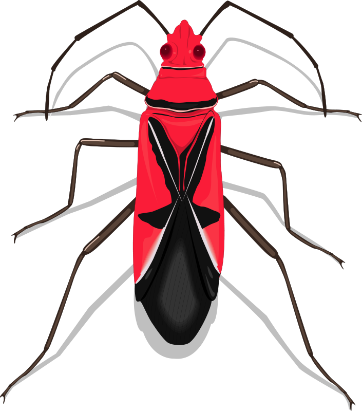 insect clipart orange bug