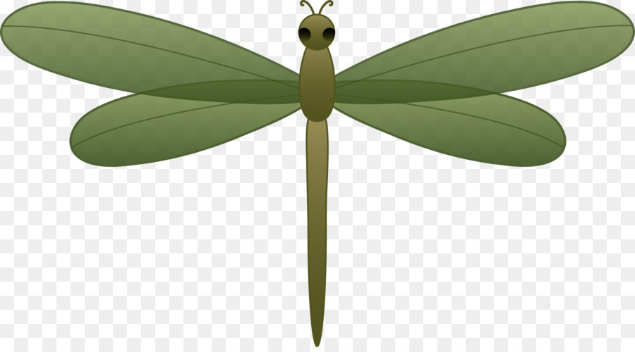 insect clipart plant insect