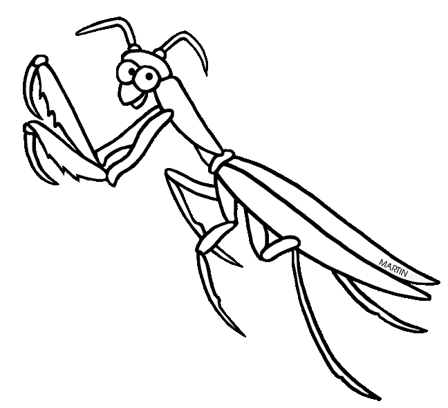 insect clipart pray mantis