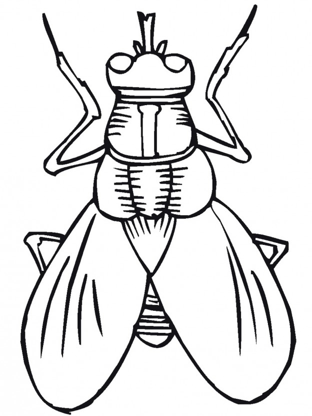 insect clipart printable