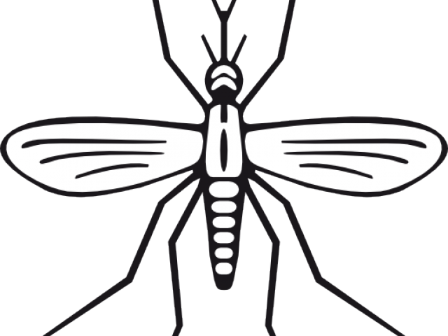 mosquito clipart histamine