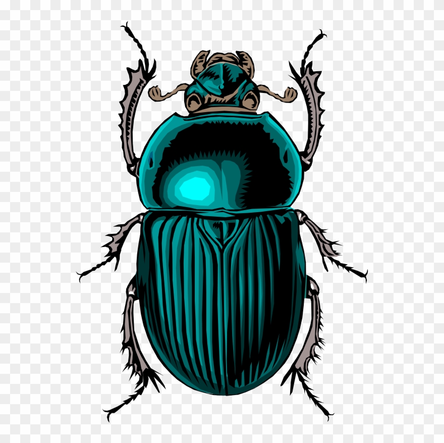 insect clipart scarab beetle