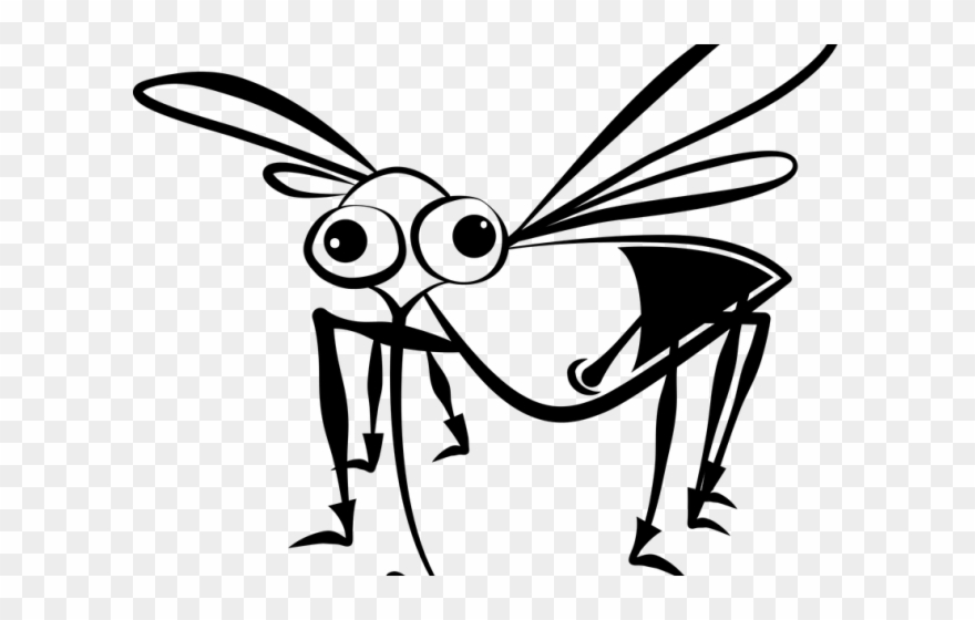 mosquito clipart face