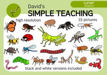 insect clipart simple bug