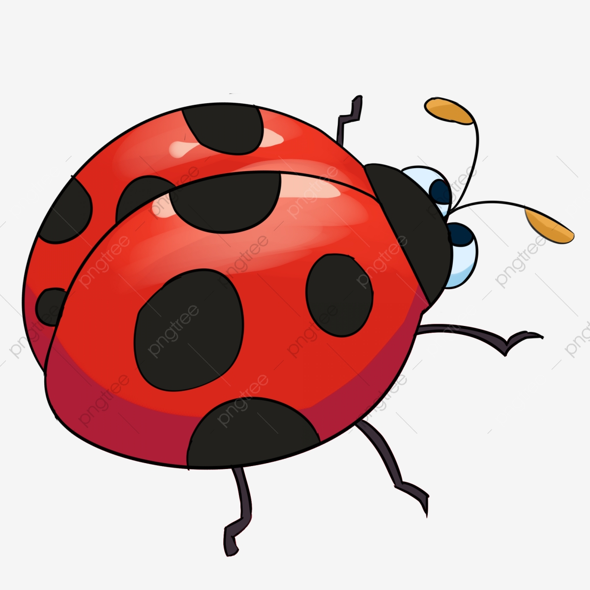 Cartoon ladybug cute . Insect clipart small insect